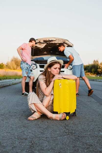 Revisiones finales y aseguramiento del coche en el destino